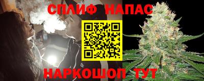 прущие грибы Заводоуковск