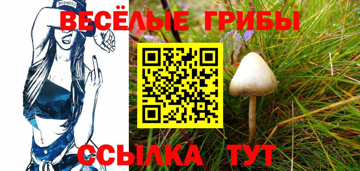 Галлюциногенные грибы MAGIC MUSHROOMS Кушва