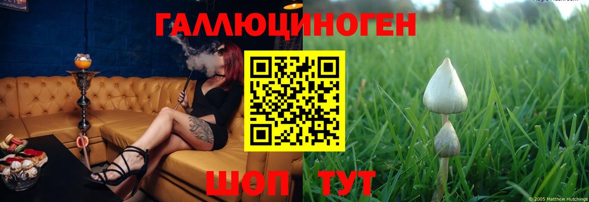 Псилоцибиновые грибы мицелий  Вход с VPN  Псилоцибиновые грибы Psilocybe  Кушва 